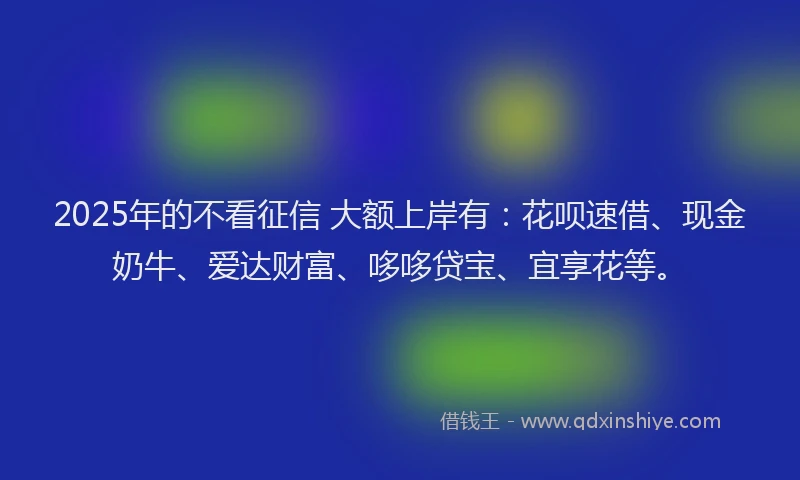 2025年的不看征信 大额上岸有：花呗速借、现金奶牛、爱达财富、哆哆贷宝、宜享花等。