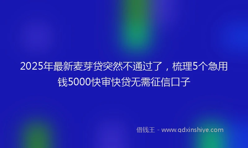 2025年最新麦芽贷突然不通过了，梳理5个急用钱5000快审快贷无需征信口子