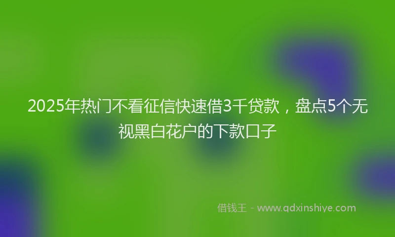 2025年热门不看征信快速借3千贷款，盘点5个无视黑白花户的下款口子