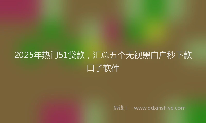 2025年热门51贷款，汇总五个无视黑白户秒下款口子软件