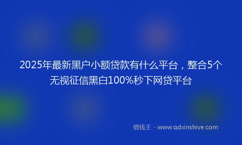 2025年最新黑户小额贷款有什么平台，整合5个无视征信黑白100%秒下网贷平台