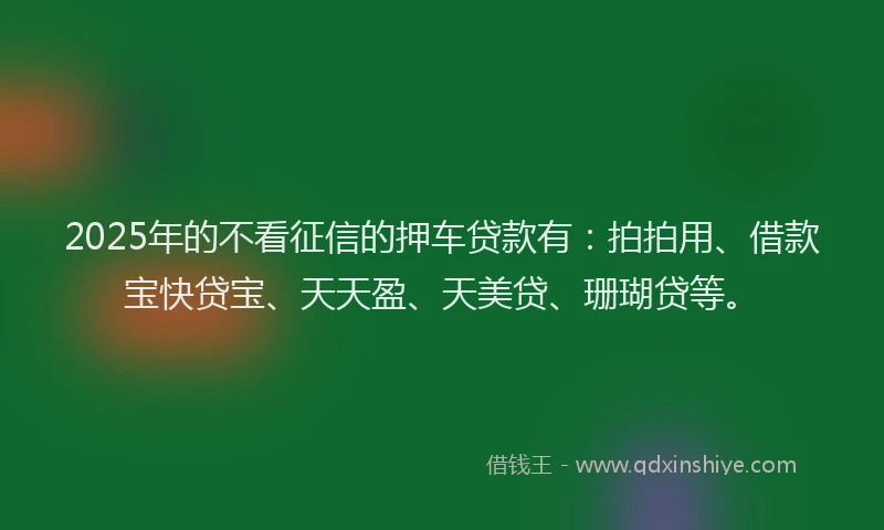 2025年的不看征信的押车贷款有：拍拍用、借款宝快贷宝、天天盈、天美贷、珊瑚贷等。