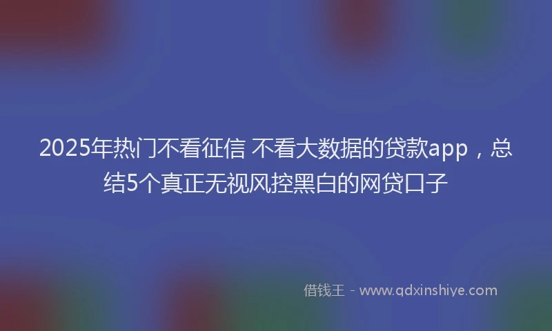 2025年热门不看征信 不看大数据的贷款app，总结5个真正无视风控黑白的网贷口子