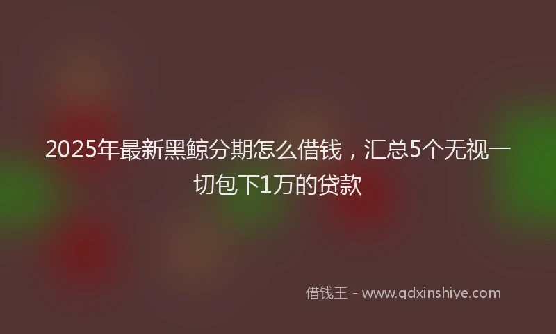 2025年最新黑鲸分期怎么借钱，汇总5个无视一切包下1万的贷款