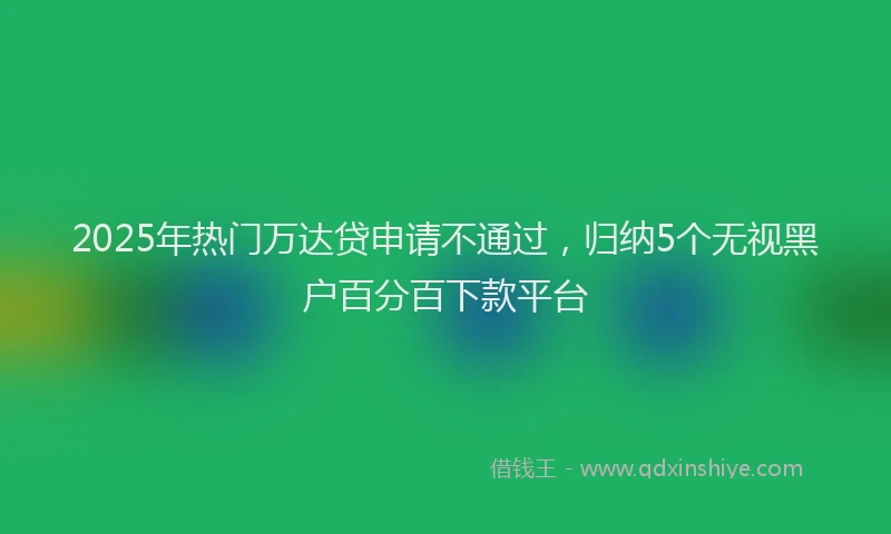 2025年热门万达贷申请不通过，归纳5个无视黑户百分百下款平台