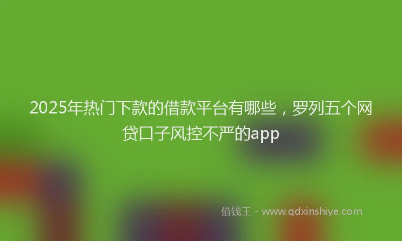 2025年热门下款的借款平台有哪些，罗列五个网贷口子风控不严的app