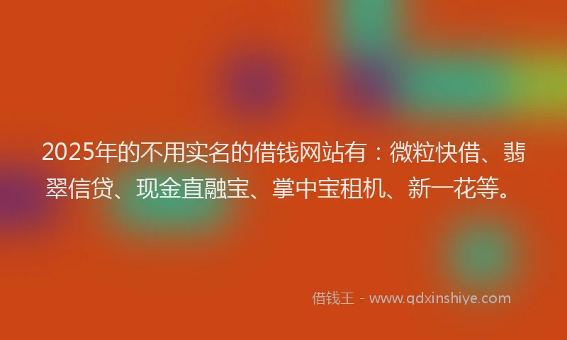 2025年的不用实名的借钱网站有：微粒快借、翡翠信贷、现金直融宝、掌中宝租机、新一花等。