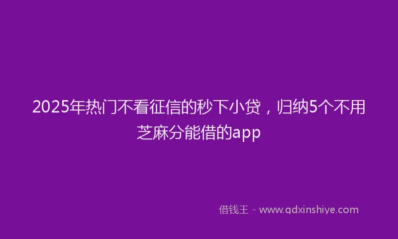 2025年热门不看征信的秒下小贷，归纳5个不用芝麻分能借的app