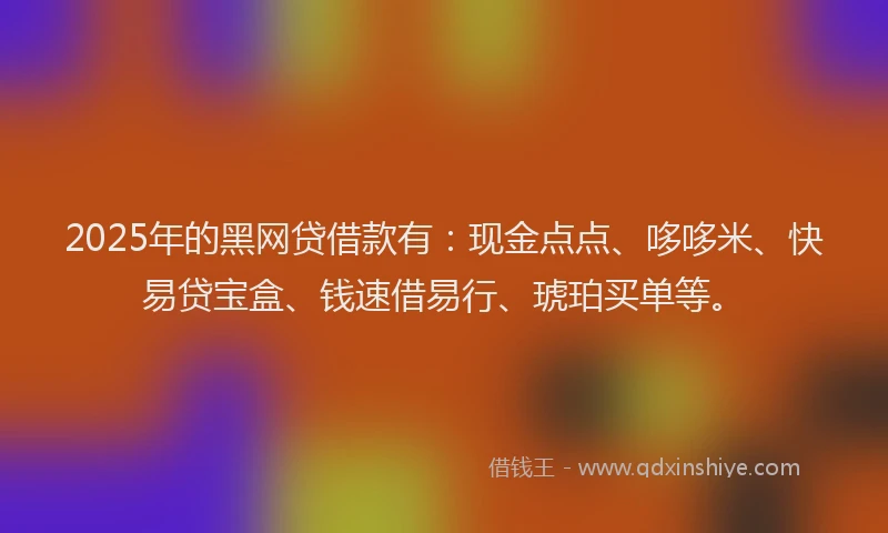 2025年的黑网贷借款有：现金点点、哆哆米、快易贷宝盒、钱速借易行、琥珀买单等。