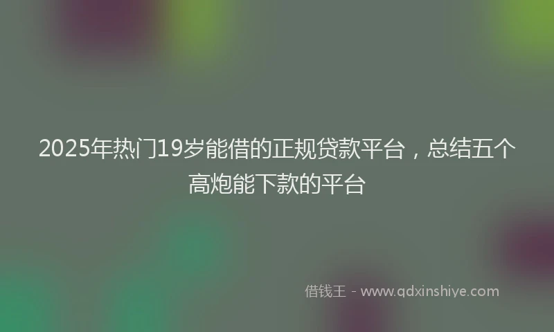 2025年热门19岁能借的正规贷款平台，总结五个高炮能下款的平台