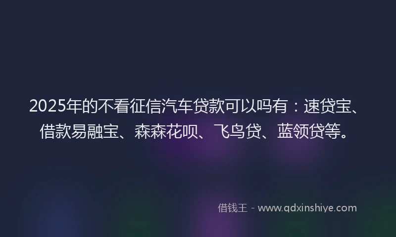 2025年的不看征信汽车贷款可以吗有：速贷宝、借款易融宝、森森花呗、飞鸟贷、蓝领贷等。