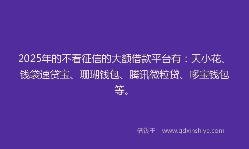 2025年的不看征信的大额借款平台有：天小花、钱袋速贷宝、珊瑚钱包、腾讯微粒贷、哆宝钱包等。