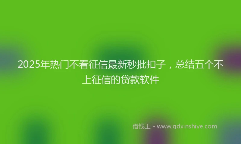 2025年热门不看征信最新秒批扣子，总结五个不上征信的贷款软件