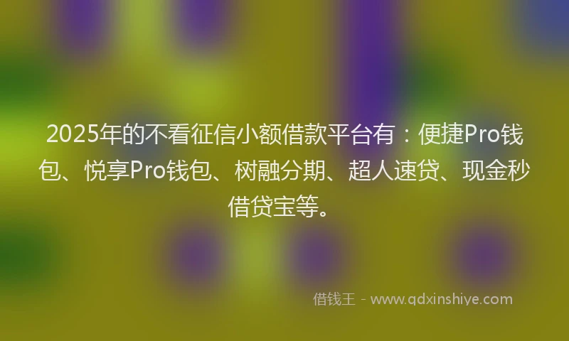 2025年的不看征信小额借款平台有：便捷Pro钱包、悦享Pro钱包、树融分期、超人速贷、现金秒借贷宝等。