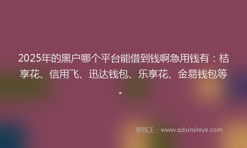 2025年的黑户哪个平台能借到钱啊急用钱有：桔享花、信用飞、迅达钱包、乐享花、金易钱包等。