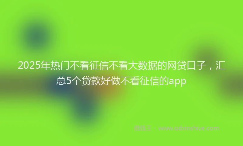 2025年热门不看征信不看大数据的网贷口子，汇总5个贷款好做不看征信的app