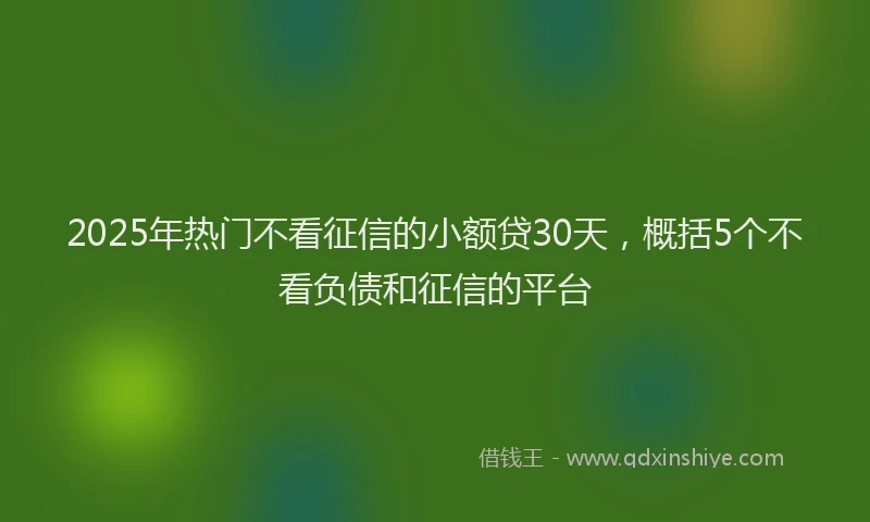 2025年热门不看征信的小额贷30天，概括5个不看负债和征信的平台