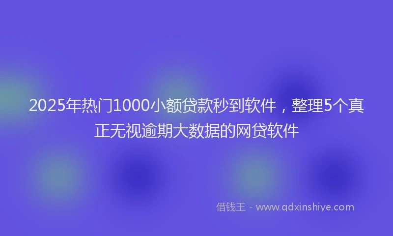 2025年热门1000小额贷款秒到软件，整理5个真正无视逾期大数据的网贷软件