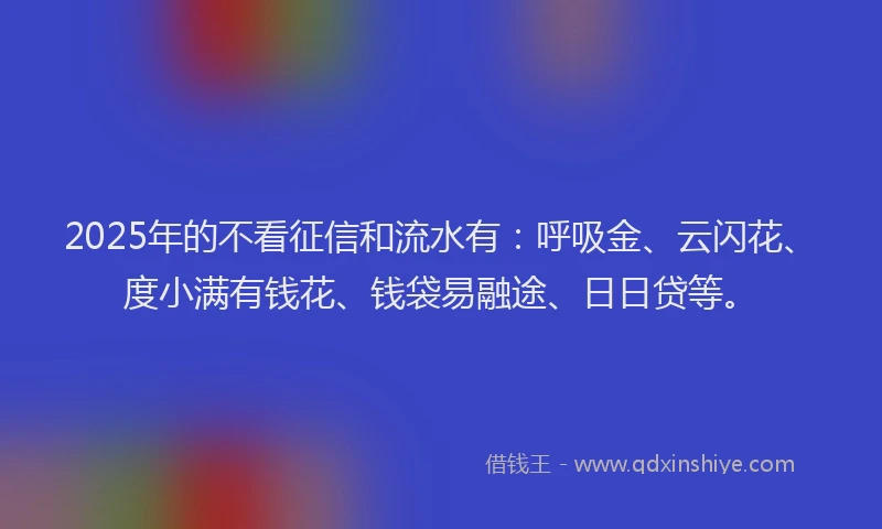 2025年的不看征信和流水有：呼吸金、云闪花、度小满有钱花、钱袋易融途、日日贷等。