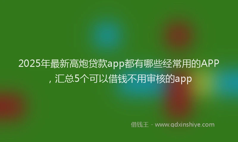 2025年最新高炮贷款app都有哪些经常用的APP，汇总5个可以借钱不用审核的app