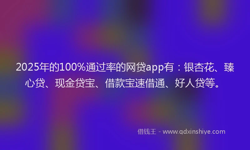 2025年的100%通过率的网贷app有：银杏花、臻心贷、现金贷宝、借款宝速借通、好人贷等。