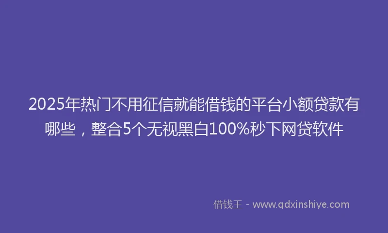 2025年热门不用征信就能借钱的平台小额贷款有哪些，整合5个无视黑白100%秒下网贷软件