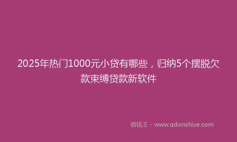 2025年热门1000元小贷有哪些，归纳5个摆脱欠款束缚贷款新软件