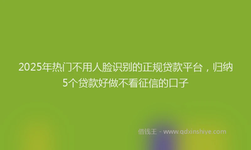 2025年热门不用人脸识别的正规贷款平台，归纳5个贷款好做不看征信的口子