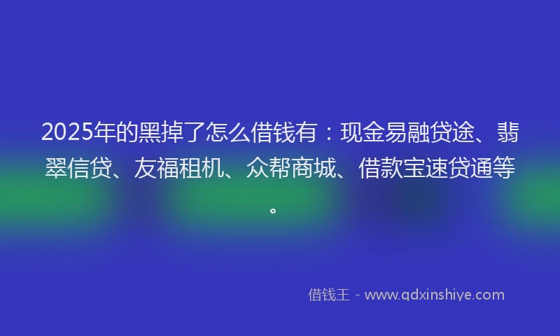 2025年的黑掉了怎么借钱有：现金易融贷途、翡翠信贷、友福租机、众帮商城、借款宝速贷通等。