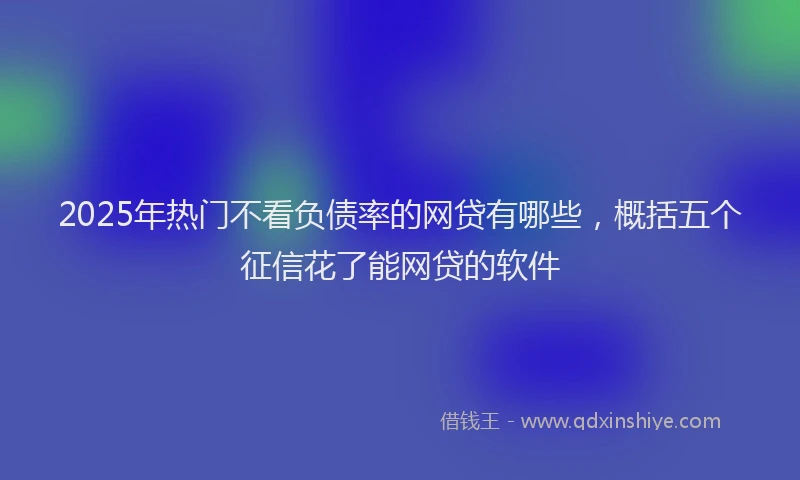 2025年热门不看负债率的网贷有哪些，概括五个征信花了能网贷的软件