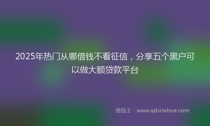 2025年热门从哪借钱不看征信，分享五个黑户可以做大额贷款平台