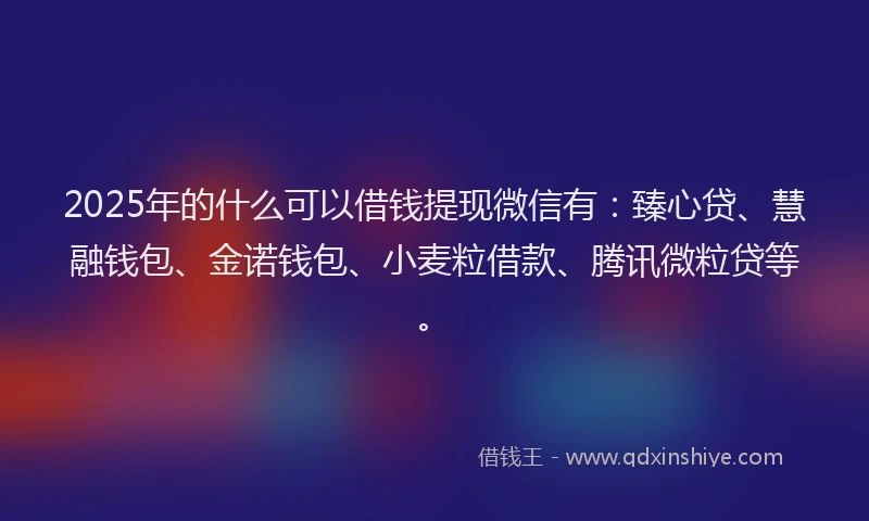 2025年的什么可以借钱提现微信有：臻心贷、慧融钱包、金诺钱包、小麦粒借款、腾讯微粒贷等。