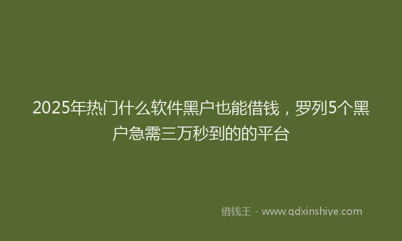 2025年热门什么软件黑户也能借钱，罗列5个黑户急需三万秒到的的平台
