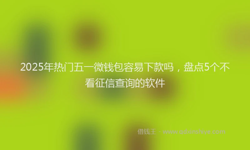 2025年热门五一微钱包容易下款吗，盘点5个不看征信查询的软件