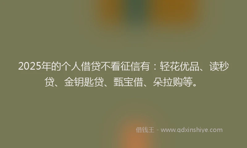 2025年的个人借贷不看征信有：轻花优品、读秒贷、金钥匙贷、甄宝借、朵拉购等。