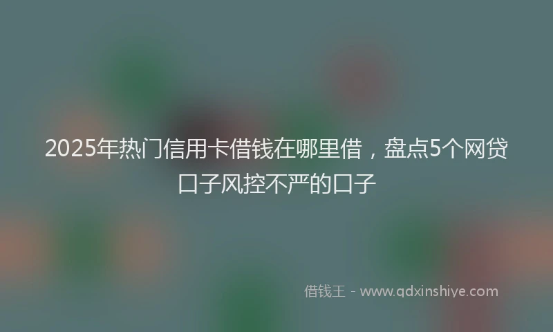 2025年热门信用卡借钱在哪里借，盘点5个网贷口子风控不严的口子