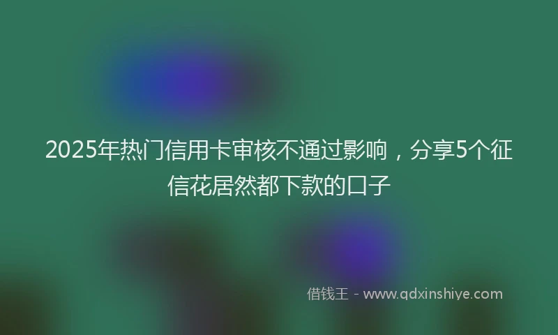 2025年热门信用卡审核不通过影响，分享5个征信花居然都下款的口子