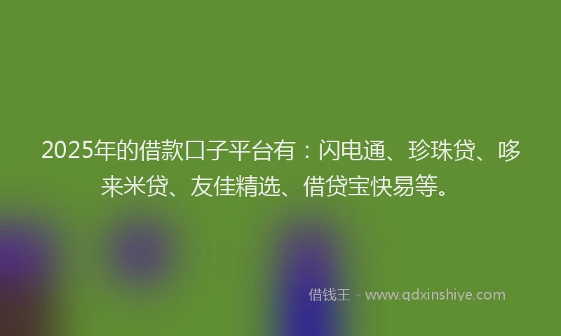 2025年的借款口子平台有：闪电通、珍珠贷、哆来米贷、友佳精选、借贷宝快易等。