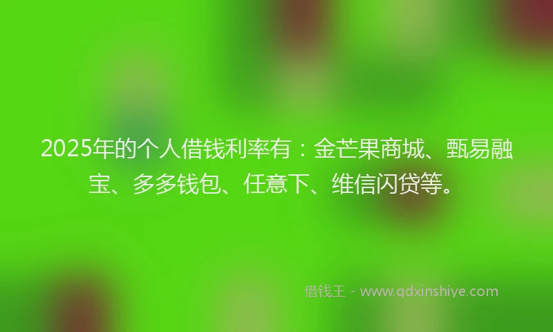 2025年的个人借钱利率有：金芒果商城、甄易融宝、多多钱包、任意下、维信闪贷等。