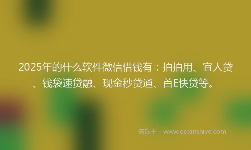 2025年的什么软件微信借钱有：拍拍用、宜人贷、钱袋速贷融、现金秒贷通、首E快贷等。