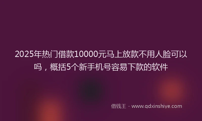 2025年热门借款10000元马上放款不用人脸可以吗，概括5个新手机号容易下款的软件