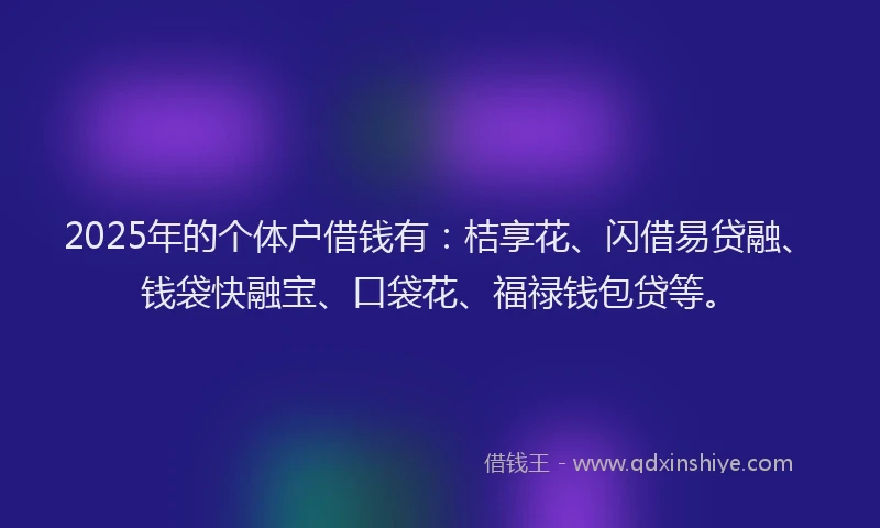 2025年的个体户借钱有：桔享花、闪借易贷融、钱袋快融宝、口袋花、福禄钱包贷等。