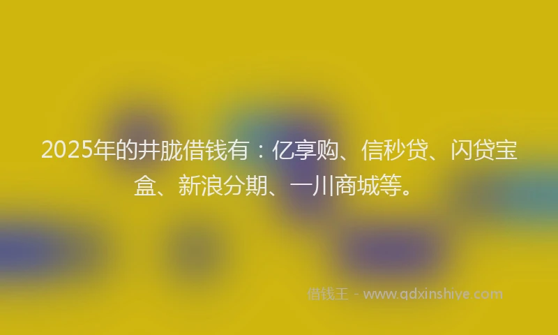 2025年的井胧借钱有：亿享购、信秒贷、闪贷宝盒、新浪分期、一川商城等。