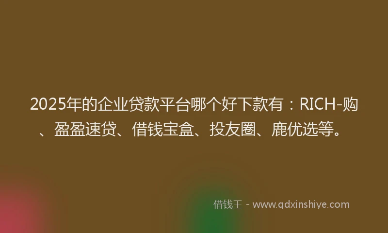 2025年的企业贷款平台哪个好下款有：RICH-购、盈盈速贷、借钱宝盒、投友圈、鹿优选等。