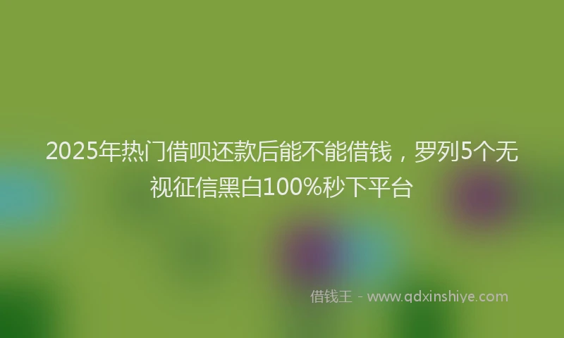 2025年热门借呗还款后能不能借钱，罗列5个无视征信黑白100%秒下平台