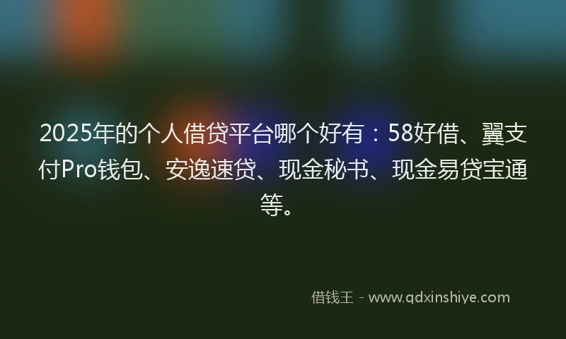 2025年的个人借贷平台哪个好有：58好借、翼支付Pro钱包、安逸速贷、现金秘书、现金易贷宝通等。