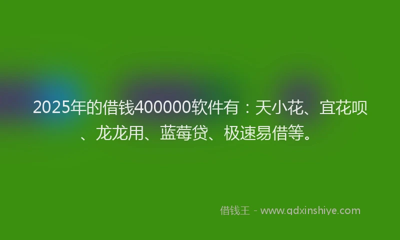 2025年的借钱400000软件有：天小花、宜花呗、龙龙用、蓝莓贷、极速易借等。
