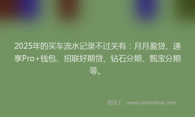 2025年的买车流水记录不过关有：月月盈贷、速享Pro+钱包、招联好期贷、钻石分期、甄宝分期等。