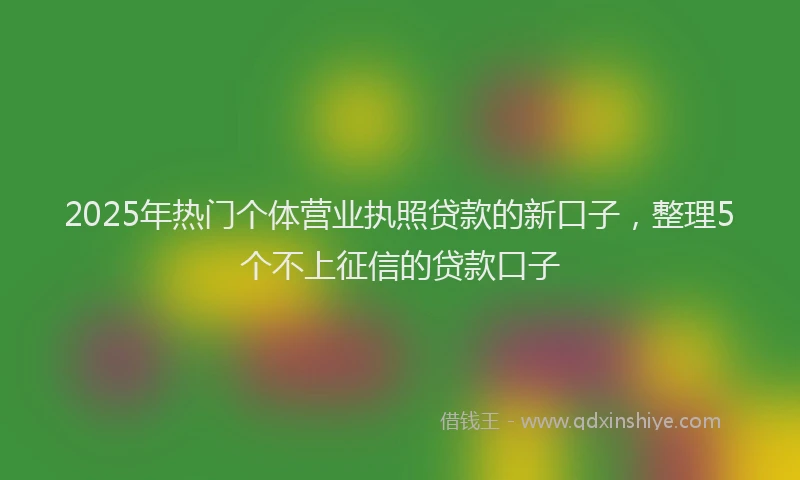 2025年热门个体营业执照贷款的新口子，整理5个不上征信的贷款口子