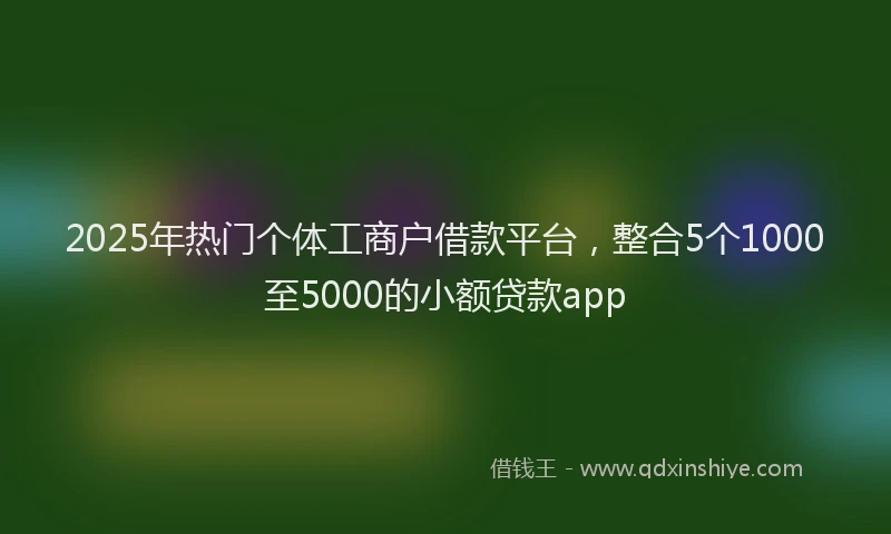 2025年热门个体工商户借款平台，整合5个1000至5000的小额贷款app